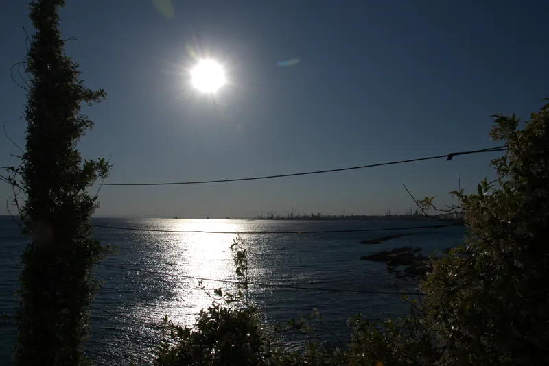 Sole in controluce sul Mar Grande di Taranto tra i pini del Lungomare