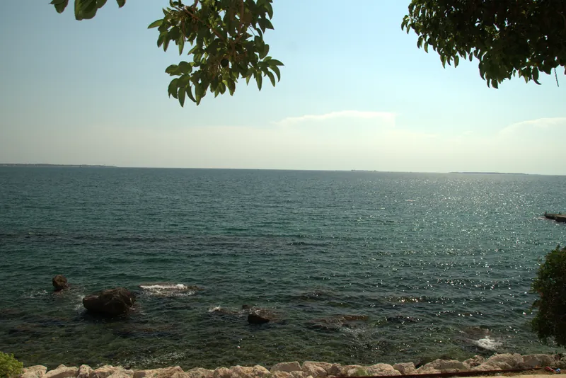 Le Mar Grande encadré par les branches, Tarente