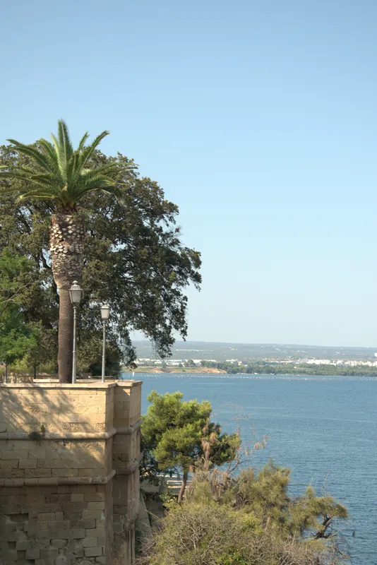 Un palmier au-dessus des anciens remparts, Tarente