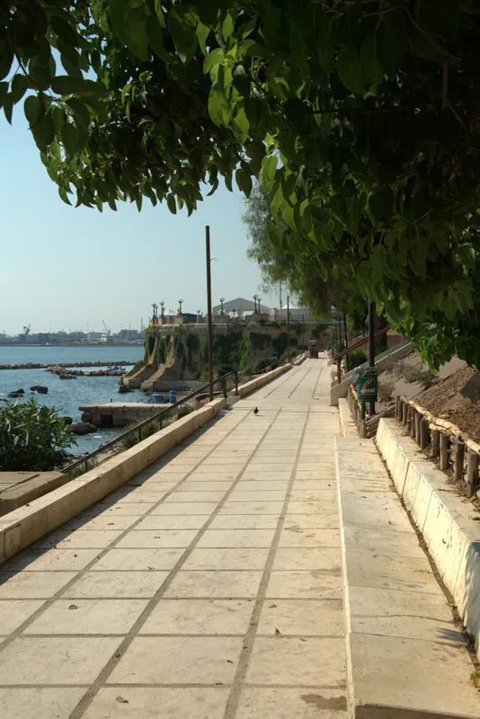 Le chemin bordé d'arbres le long de la mer, Tarente